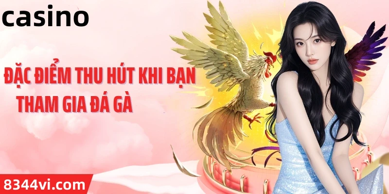 Hình ảnh quảng cáo của b66 hiển thị nền tảng và các lợi ích